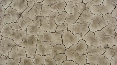 The Political Economy of Natural Resource Management - Ghana and Nigeria